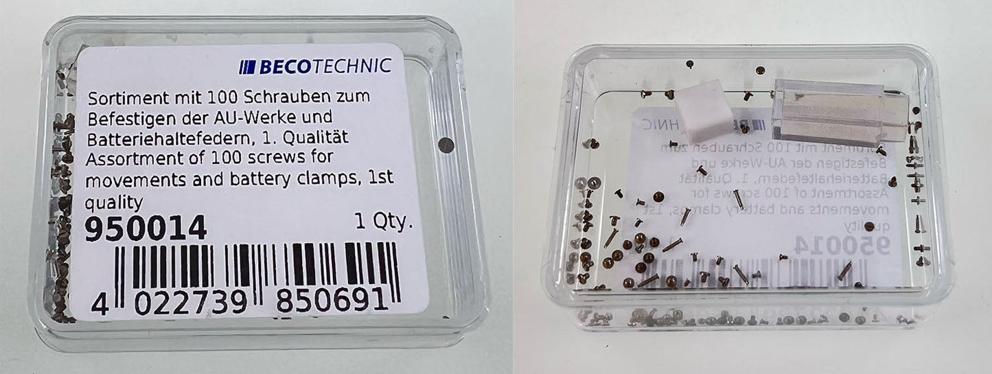 KIT OF S/S SCREW for MOVT CASE & B.CLAMPS
