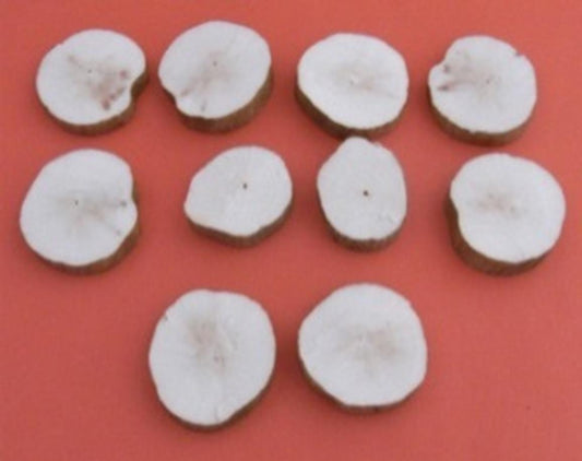 BUTTON PITCHWOOD FOR CLEANING PINION